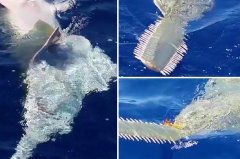 ������ˮ����4.2�׳�����