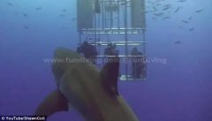 һ�Բ��ϣ�������������ǱˮԱ�ű㲢��ͼҧ������